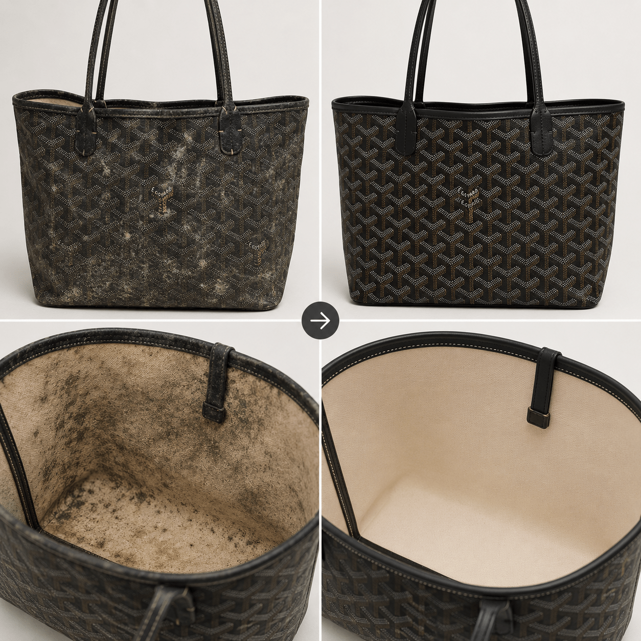 แก้ปัญหากลิ่นอับและเชื้อรา Goyard
